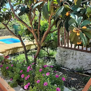 carrubo-giardino-in-citta.taorminaitalyhotels.com/